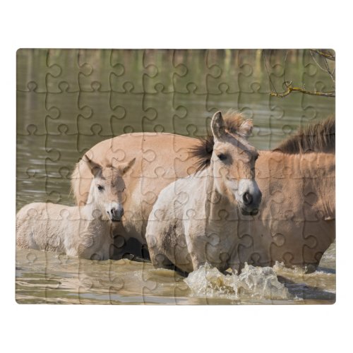 Mare with Foal Crossing a River Jigsaw Puzzle