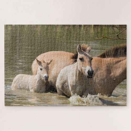 Mare with Foal Crossing a River Jigsaw Puzzle