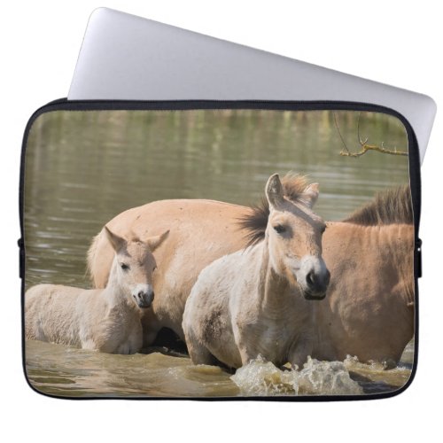 Mare with Foal Crossing a River Laptop Sleeve