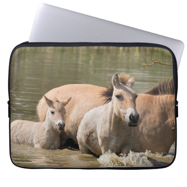 Mare with Foal Crossing a River Laptop Sleeve (Front)