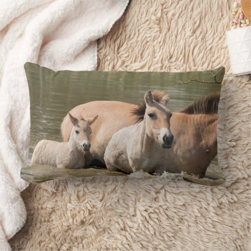 Mare with Foal Crossing a River Lumbar Pillow