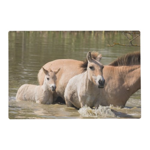Mare with Foal Crossing a River Placemat
