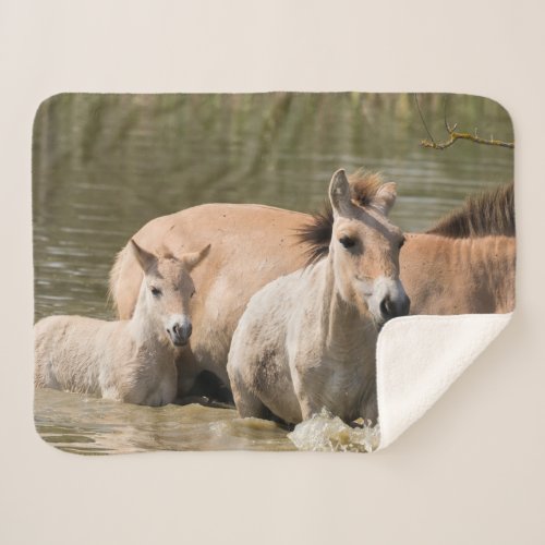 Mare with Foal Crossing a River Sherpa Blanket