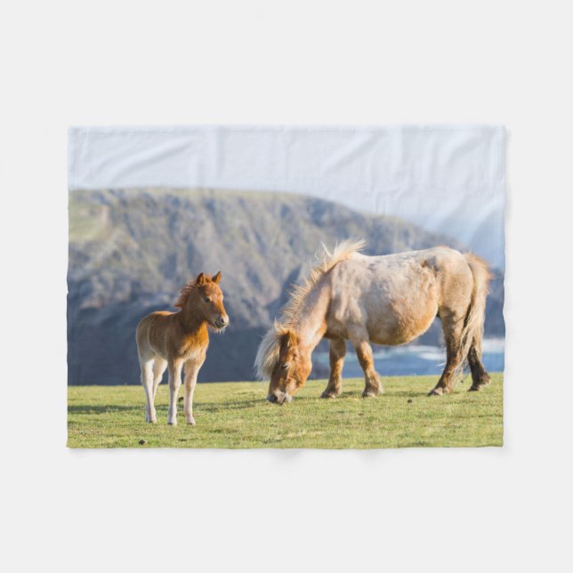 Mare with Foal, Shetland islands, Scotland Fleece Blanket (Front (Horizontal))