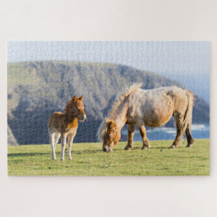 Mare with Foal, Shetland islands, Scotland Jigsaw Puzzle