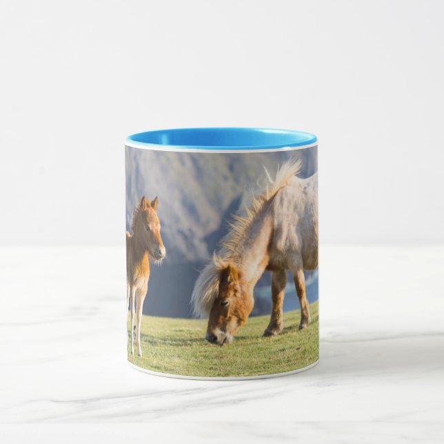 Mare with Foal, Shetland islands, Scotland Mug (Center)