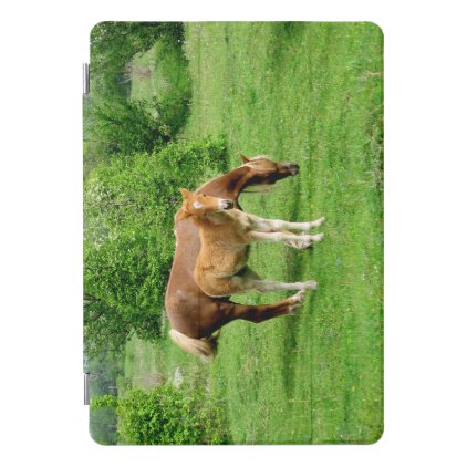 Mare with her colt in the green pasture iPad pro cover