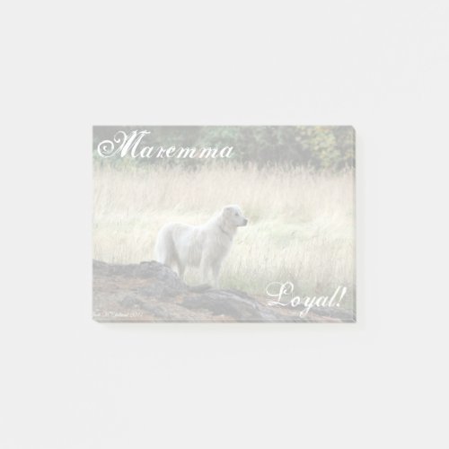 Maremma Loyal fade_out print Post_it Notes