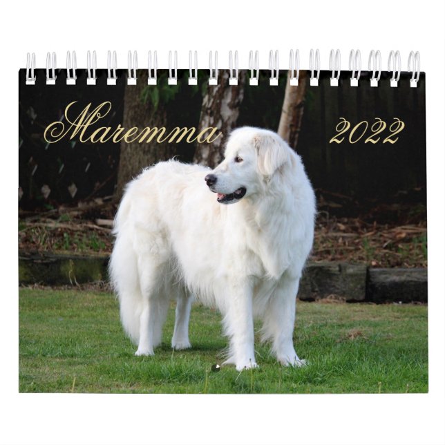Maremma sheepdog 2022 SmallCalendar, White Calendar (Cover)