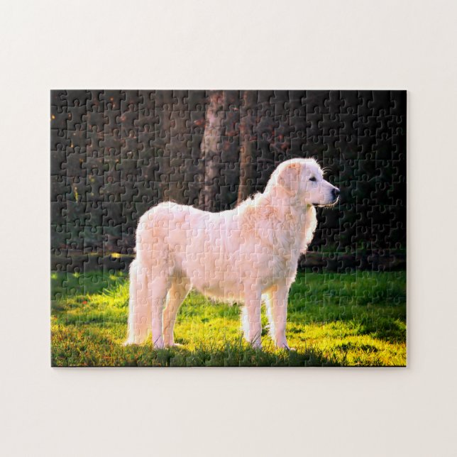 Maremma Sheepdog Beauty Jigsaw Puzzle (Horizontal)
