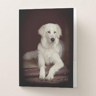 Maremma sheepdog classic pocket folder