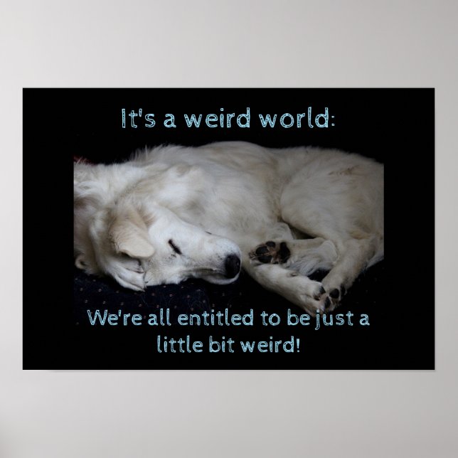 Maremma sheepdog weird world poster (Front)