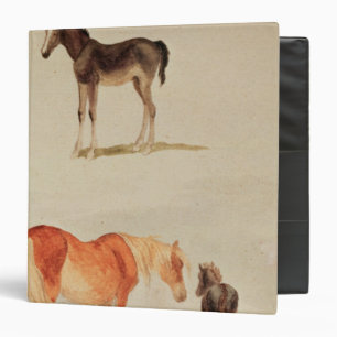 Mares and foals 3 ring binder