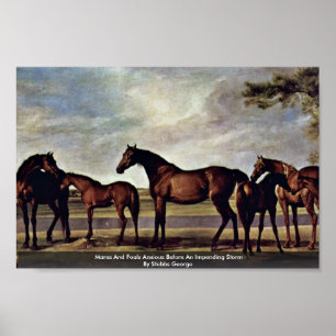Mares And Foals Anxious Before An Impending Storm Poster