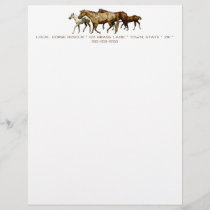 Mares and Foals Drawing Letterhead