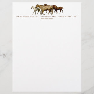 Mares and Foals Drawing Letterhead