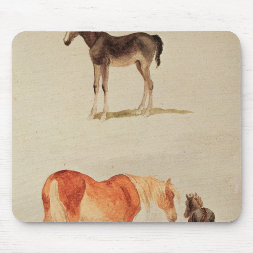 Mares and foals