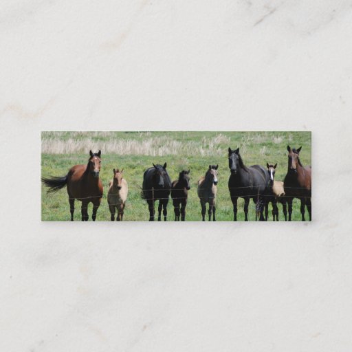 Customizable "Mares &amp; Foals" Bookmark Business Card Template