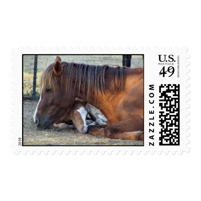 Mare's Love Stamp