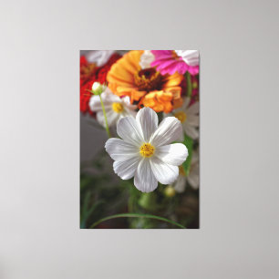 margarete flower in front of field flowers bouquet canvas print