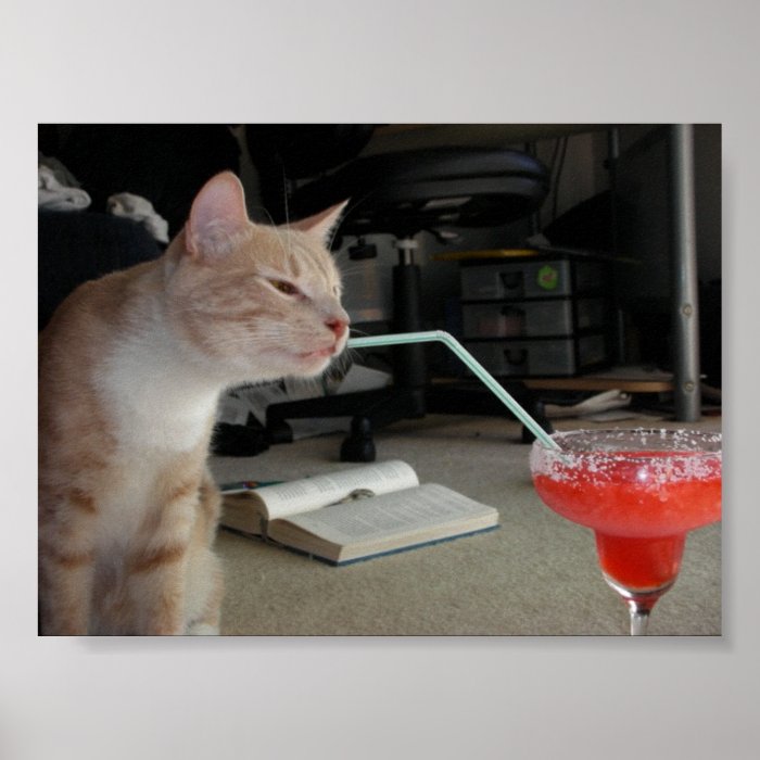 Margarita Cat Poster