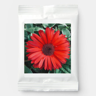 Margarita Orange Daisy Drink Mix