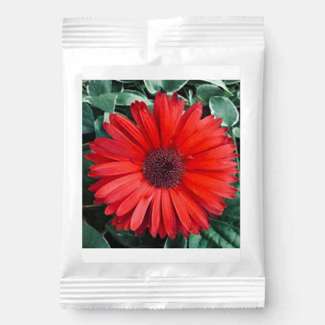 Margarita Orange Daisy Drink Mix (Front)