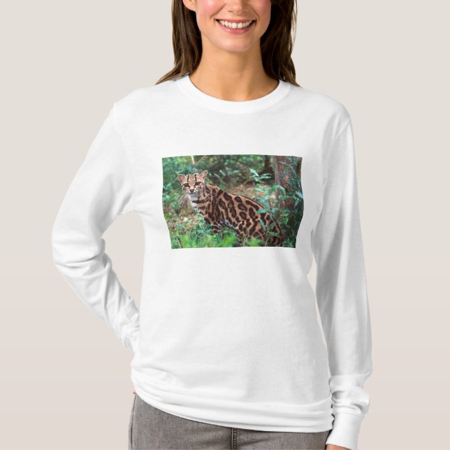 Margay, Leopardus wiedi, Native to Mexico into T-Shirt (Front)