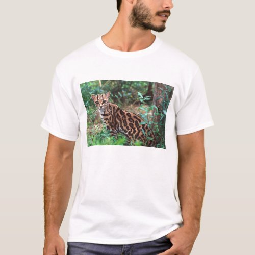 Margay Leopardus wiedi Native to Mexico into T_Shirt