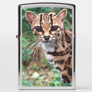 Margay, Leopardus wiedi, Native to Mexico into Zippo Lighter