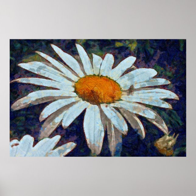 Marguerite Daisy with Winged Insects Floral Art Poster (Front)