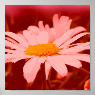 Marguerite in red poster