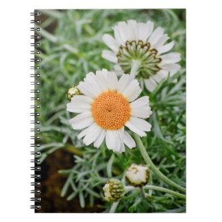 Marguerite Notebook