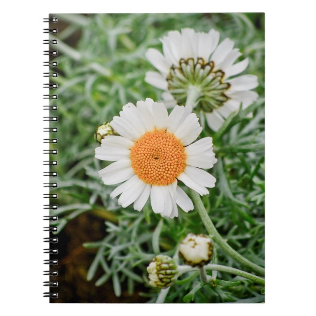 Marguerite Notebook (Front)