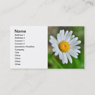 Marguerite-wild-flower426 WILDFLOWERS DAISY SPRIN Business Card