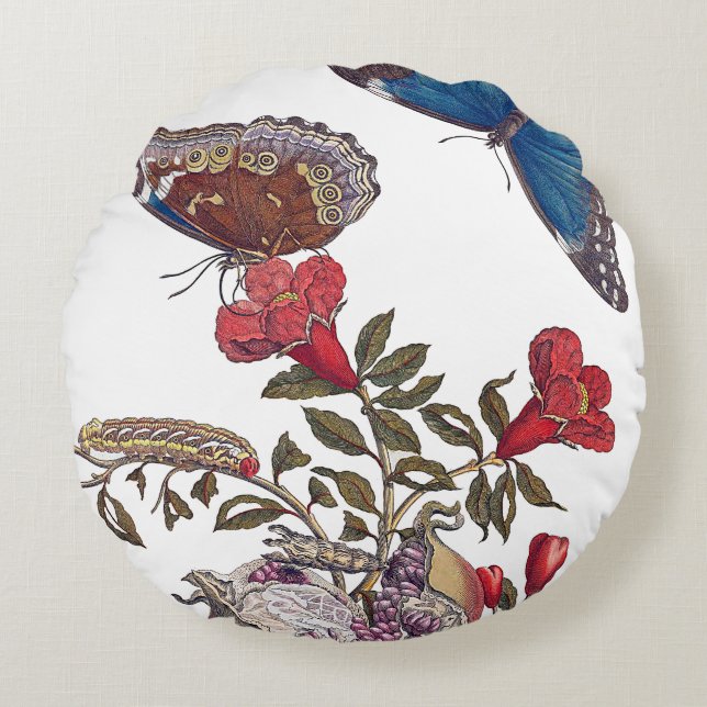 Maria Merian Butterflies Cushions (Front)