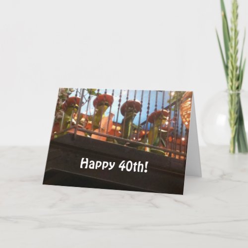 MARIACHI BAND SAYS HAPPY 40th Card