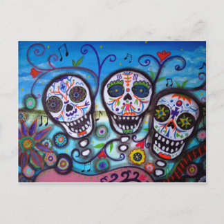 Mariachi Postcard
