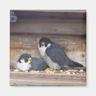 Mariah and Kaver Magnet