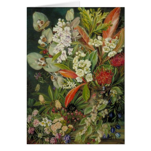 Marianne North Botanical Painting Cards (Front)