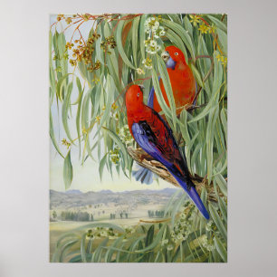  Marianne North - Exotic Landscape IV Poster