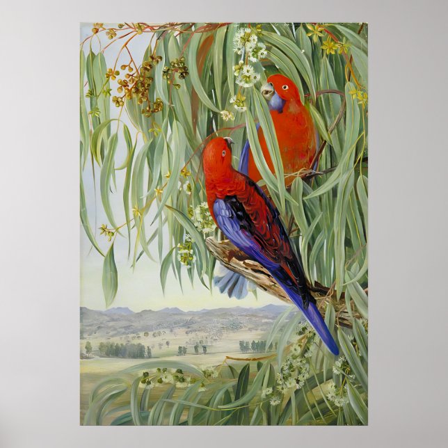  Marianne North - Exotic Landscape IV Poster (Front)