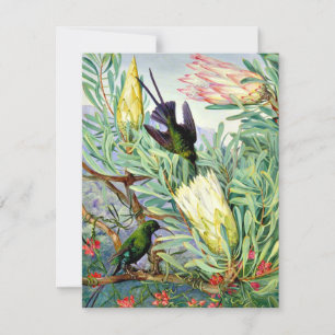 Marianne North - Honeyflowers and Honeysuckers Card