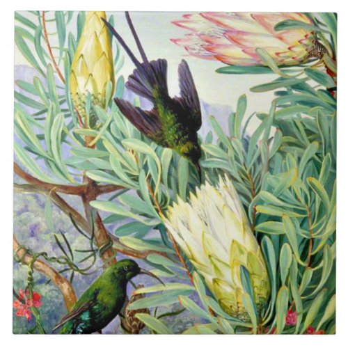 Marianne North Honeyflowers and Honeysuckers Ceramic Tile