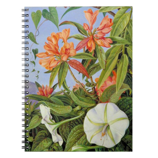Marianne North - Javan Rhododendrum Notebook (Front)