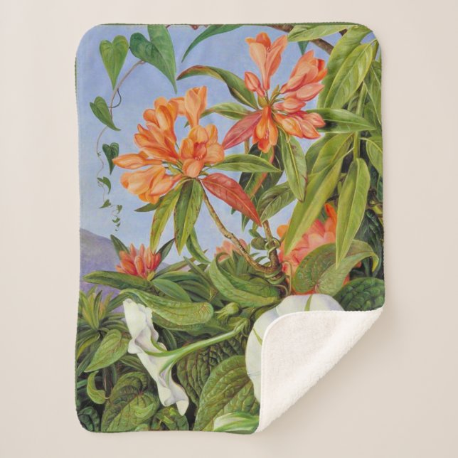 Marianne North - Javan Rhododendrum Sherpa Blanket (Front)