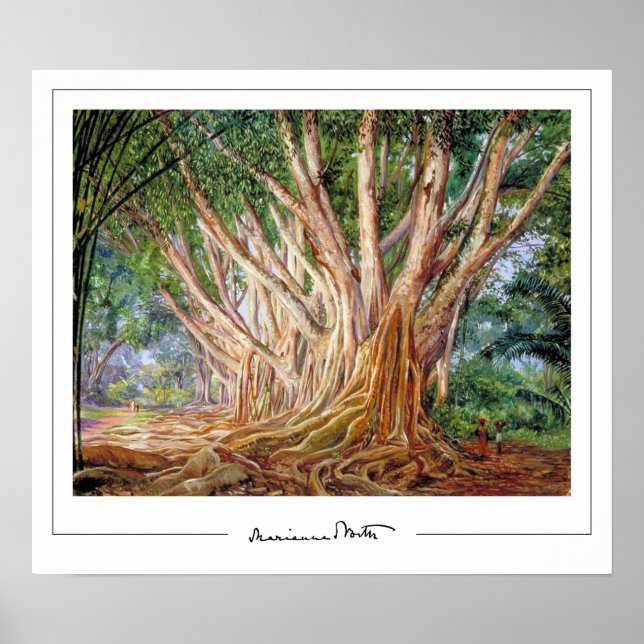 Marianne North Zedign Art Poster #5 (Front)