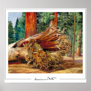 Marianne North Zedign Art Poster #7