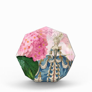 Marie Antoinette Redoute Hydrangea Octagonal Award
