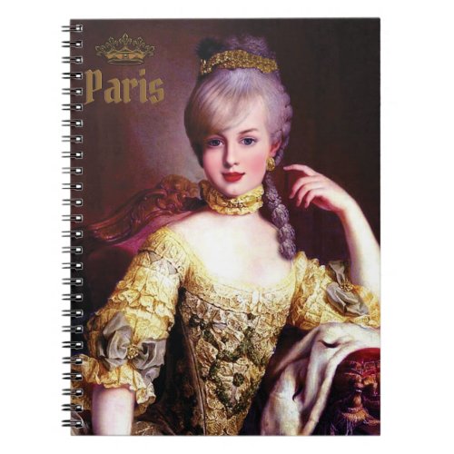 Marie Antoinette Versailles in Golden Splendor Notebook